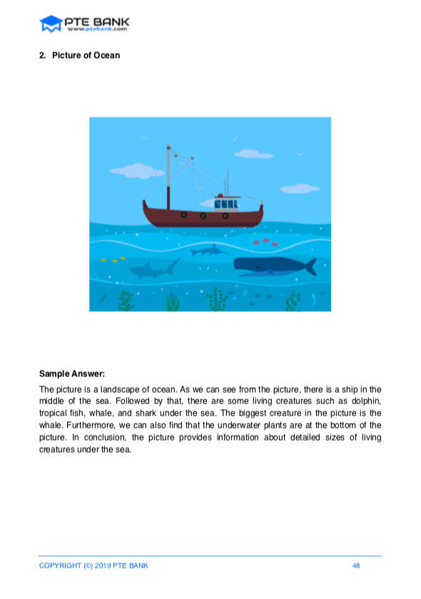 pte di describe image