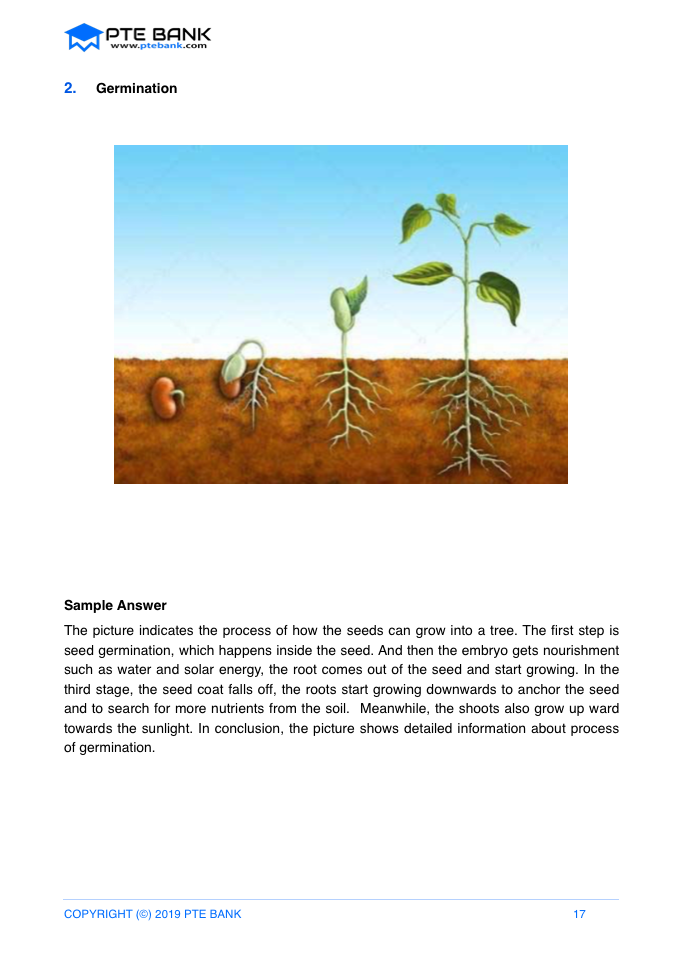 PTE describe image plants