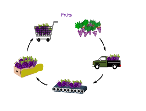 DI PTE Fruits Supply Chain