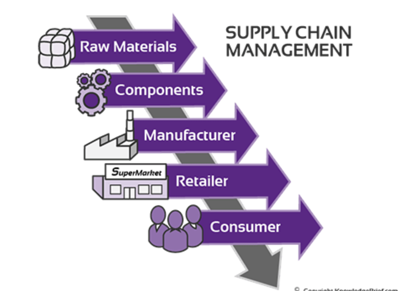 Supply Chain Manangement DI PTE