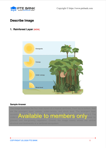 Rainforest Layer